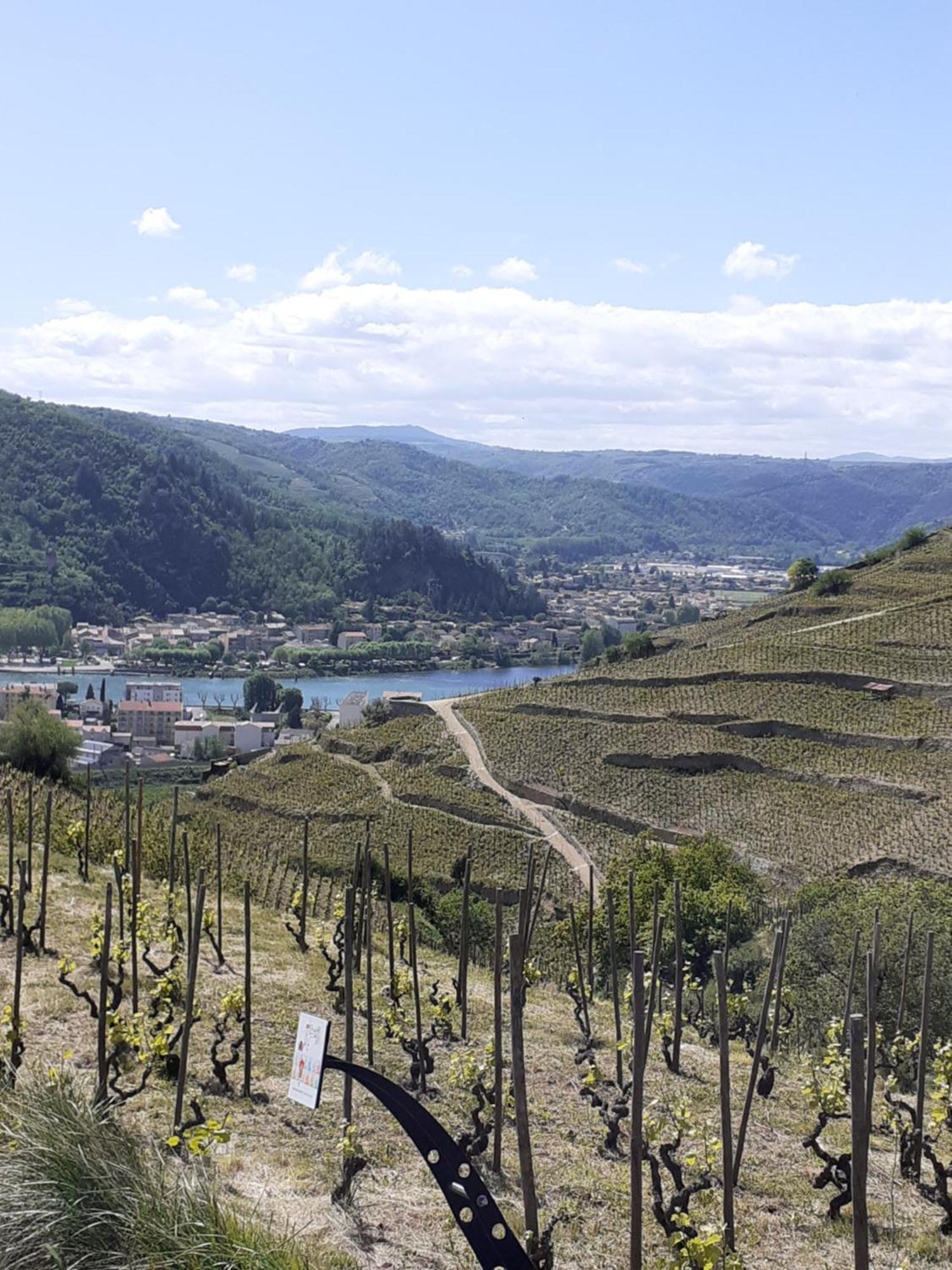 Gite Du Vigneron A La Terrasse Piscine Local Velos Tournon-sur-Rhone Dış mekan fotoğraf